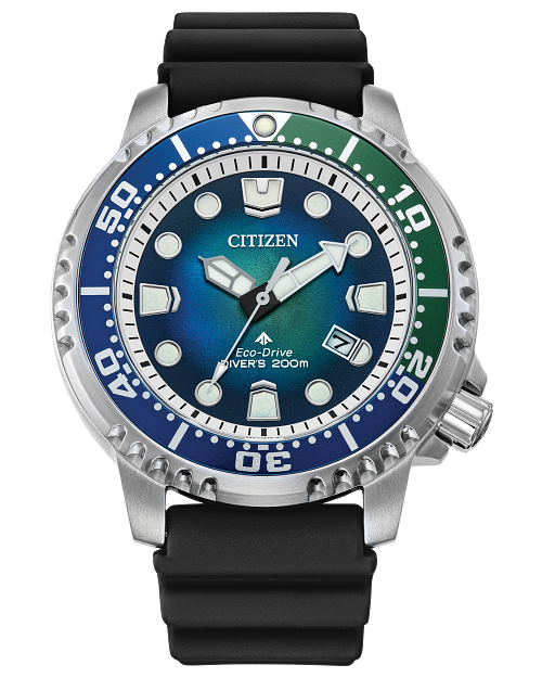 Citizen blue diver shop watch